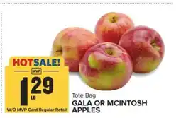Food Lion Gala or McIntosh Apples offer