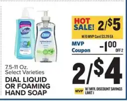 Food Lion Dial Liquid or Foaming Hand Soap offer