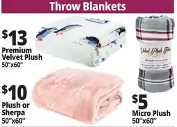 Ocean State Job Lot Throw Blankets offer