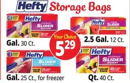 Ocean State Job Lot Hefty Storage Bags offer