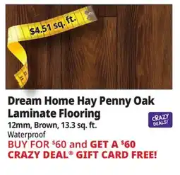 Ocean State Job Lot Dream Home Hay Penny Oak Laminate Flooring offer