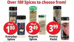 Ocean State Job Lot Over 100 Spices to Choose From offer