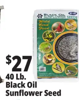 Ocean State Job Lot 40 Lb., Black Oil Sunflower Seed offer