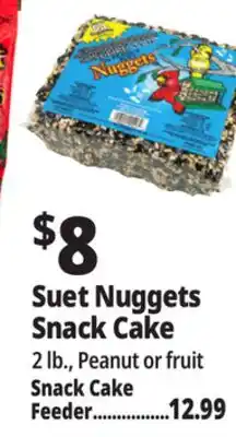 Ocean State Job Lot Bird Suet offer