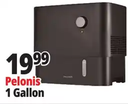 Ocean State Job Lot 1 Gallon offer