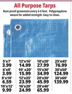 Ocean State Job Lot All Purpose Tarps offer