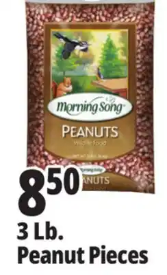 Ocean State Job Lot Morning Song 3 Lb. Peanut Pieces offer