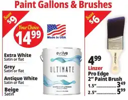 Ocean State Job Lot Pant Gallons & Brushes offer