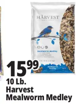 Ocean State Job Lot 10 Lb. Harvest Mealworm Medley offer