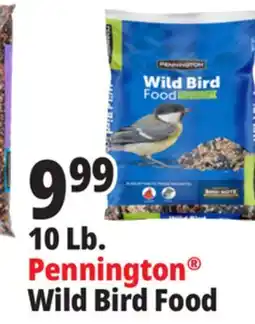 Ocean State Job Lot Pennington Wild Bird Food offer