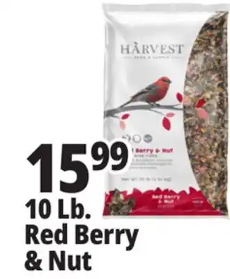 Ocean State Job Lot Harvest Red Berry & Nut offer