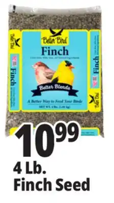Ocean State Job Lot Finch Seed offer