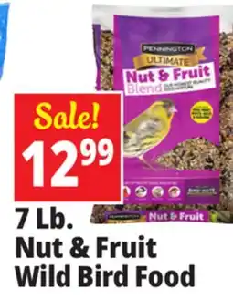 Ocean State Job Lot Nut & Fruit Wild Bird Food offer