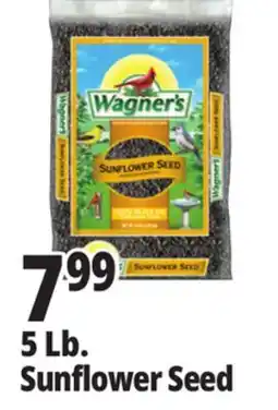 Ocean State Job Lot WAGNER'S Sunflower Seed offer