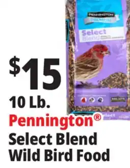 Ocean State Job Lot Pennington Select Blend Wild Bird Food offer