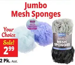 Ocean State Job Lot Jumbo Mesh Sponges offer