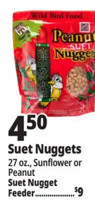 Ocean State Job Lot Suet Nuggets offer