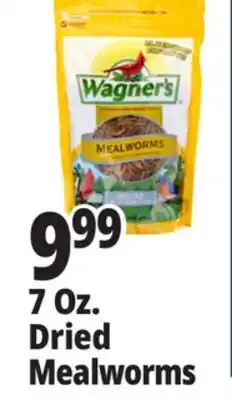 Ocean State Job Lot 7 Oz. Dried Mealworms offer