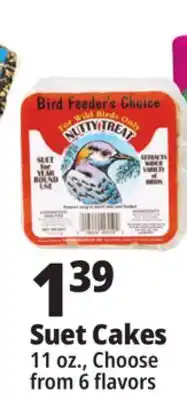 Ocean State Job Lot Suet Cakes offer