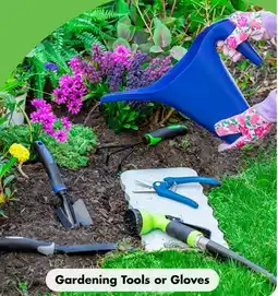 Dollar Tree Gardening Tools or Gloves offer