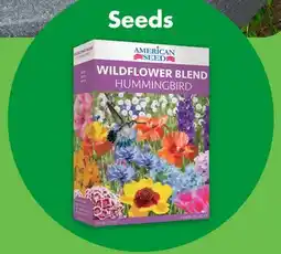 Dollar Tree Seeds offer