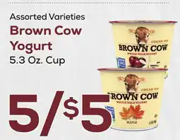 DeCicco & Sons Brown Cow Yogurt offer