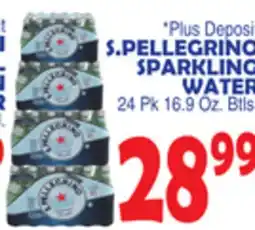 Bravo Supermarkets S. PELLEGRINO SPARKLING WATER offer