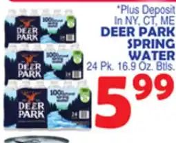 Bravo Supermarkets DEER PARK SPRING WATER offer