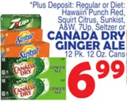 Bravo Supermarkets CANADA DRY GINGER ALE offer