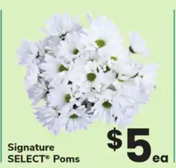 ACME Signature SELECT Poms offer