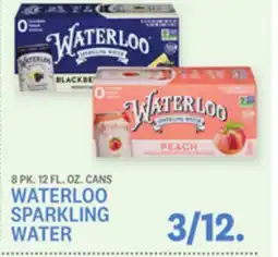 Kings Food Markets WATERLOO SPARKLING WATER offer