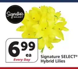 Vons Signature SELECT Hybrid Lilies offer
