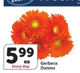 Vons Gerbera Daisies offer