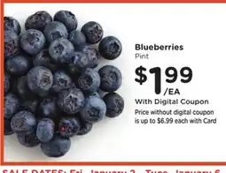 Ralphs Blueberries offer