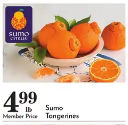 Pavilions Sumo Tangerines offer