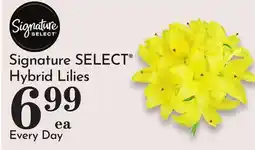 Pavilions Signature SELECT Hybrid Lilies offer