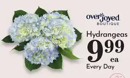 Pavilions Hydrangeas offer