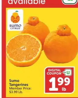 Albertsons Sumo Tangerines offer