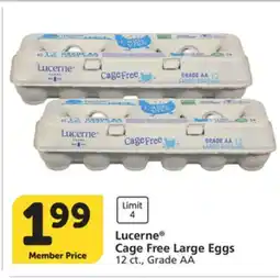 Albertsons Lucerne Cage Free Large Eggs offer