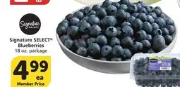 Albertsons Signature SELECT Blueberries offer