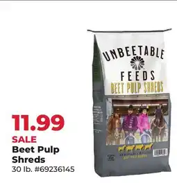 Runnings Beet Pulp Shreds offer