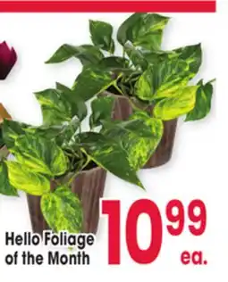 Jewel-Osco Hello Foliage of the Month offer