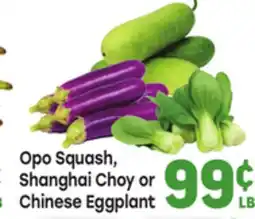 Tony’s Fresh Market Opo Squash, Shanghai Choy or Chinese Eggplant offer