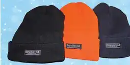 Ace Hardware Insulated Thermo Wear Hat offer
