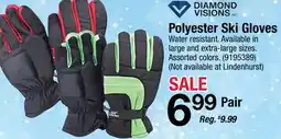Ace Hardware Polyester Ski Gloves offer