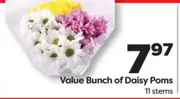 Weis Markets Value Bunch of Daisy Poms offer