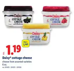 Lidl Daisy cottage cheese offer