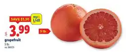 Lidl grapefruit offer
