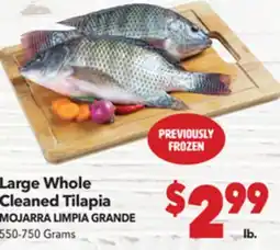 Vallarta Supermarkets Large Whole Cleaned Tilapia / MOJARRA LIMPIA GRANDE offer