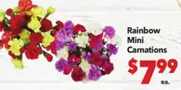 Vallarta Supermarkets Rainbow Mini Carnations offer